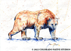 Bear Art Print (Watercolor)