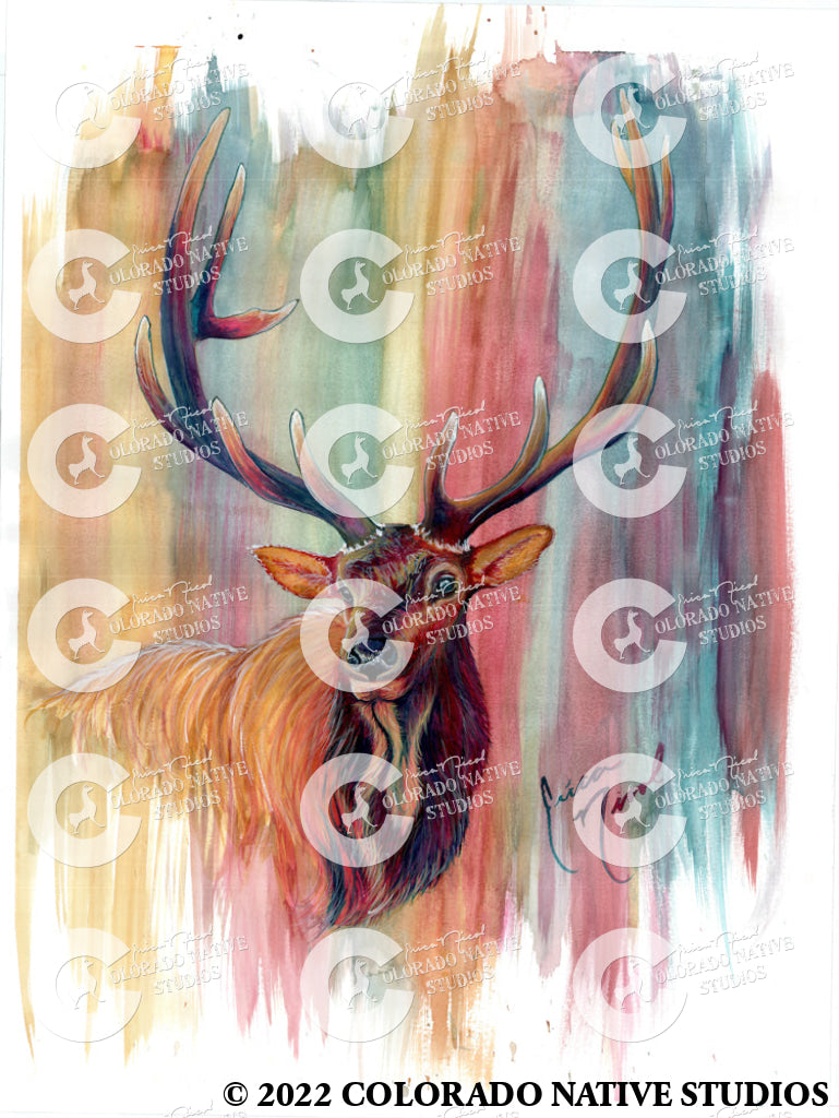 Elk Head Art Print (Watercolor)