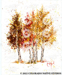 Fall Aspens 2 Art Print (Watercolor)