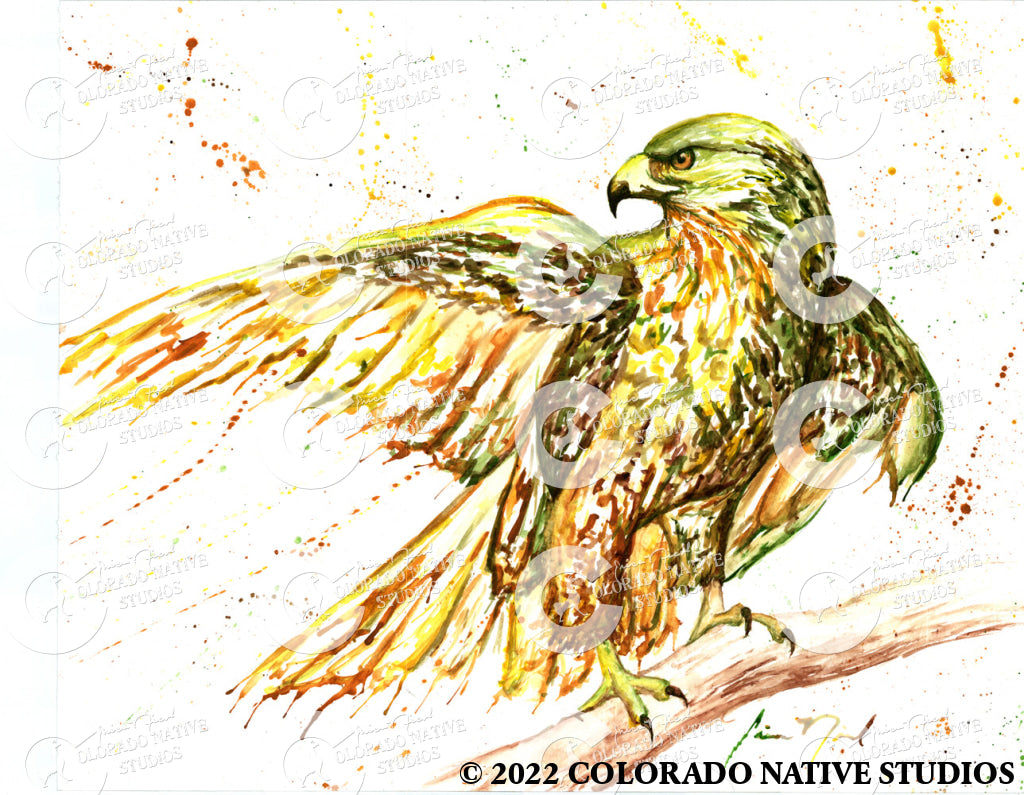 Hawk Art Print (Watercolor)