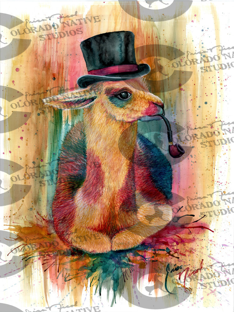 Classy Llama – Colorado Native Studios